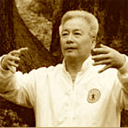 Yu Yongnian