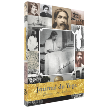 Sri Aurobindo, Journal du Yoga Glossaire