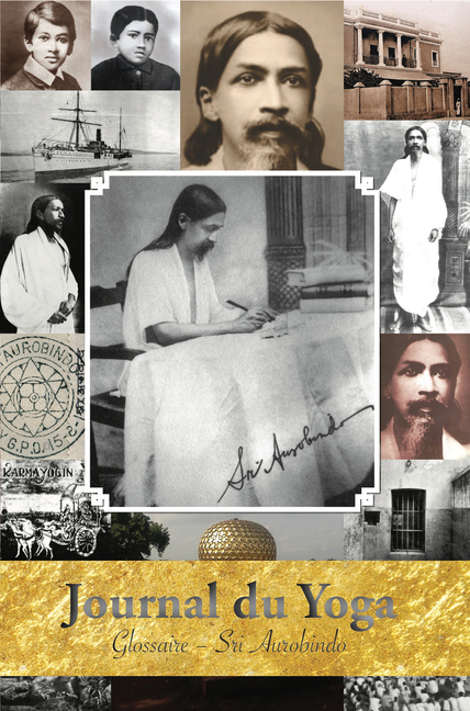 Sri Aurobindo, Journal du Yoga Glossaire