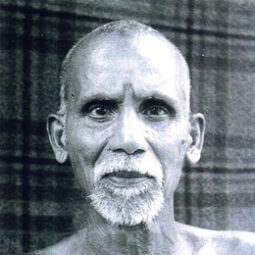 Annamalaï swami