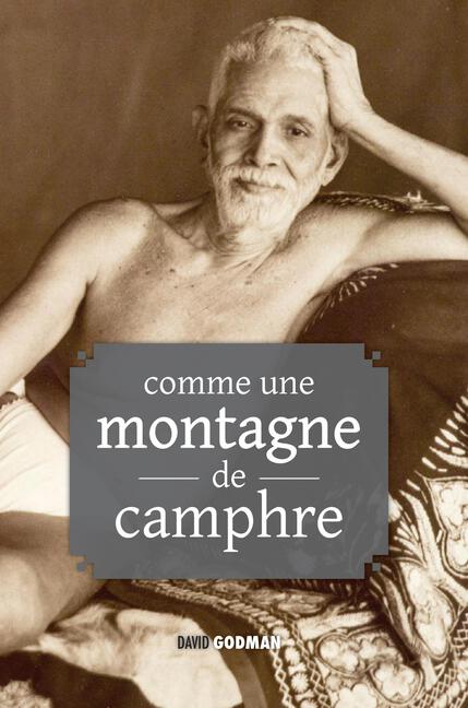 David Godman, Comme une montagne de camphre