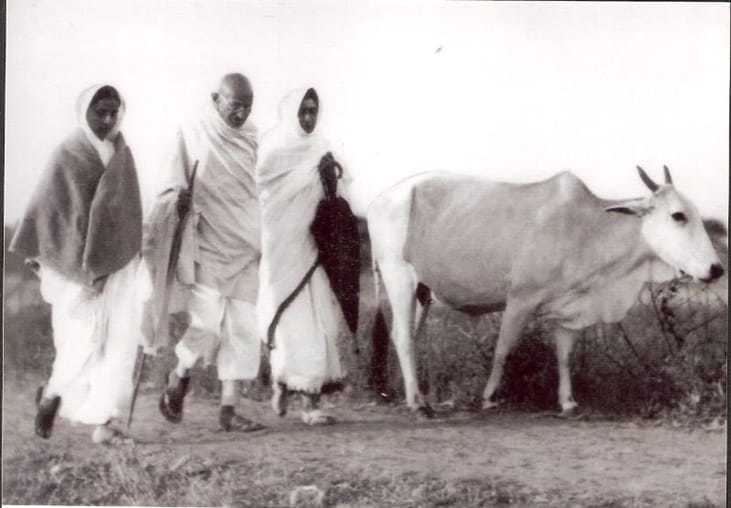 Mahatma Gandhi walking at Sevagram Ashram, 1934.
