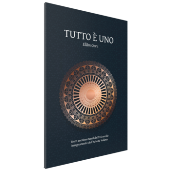 Tutto è Uno (Ellâm Onru): insegnamento dell’Advaita Vedanta