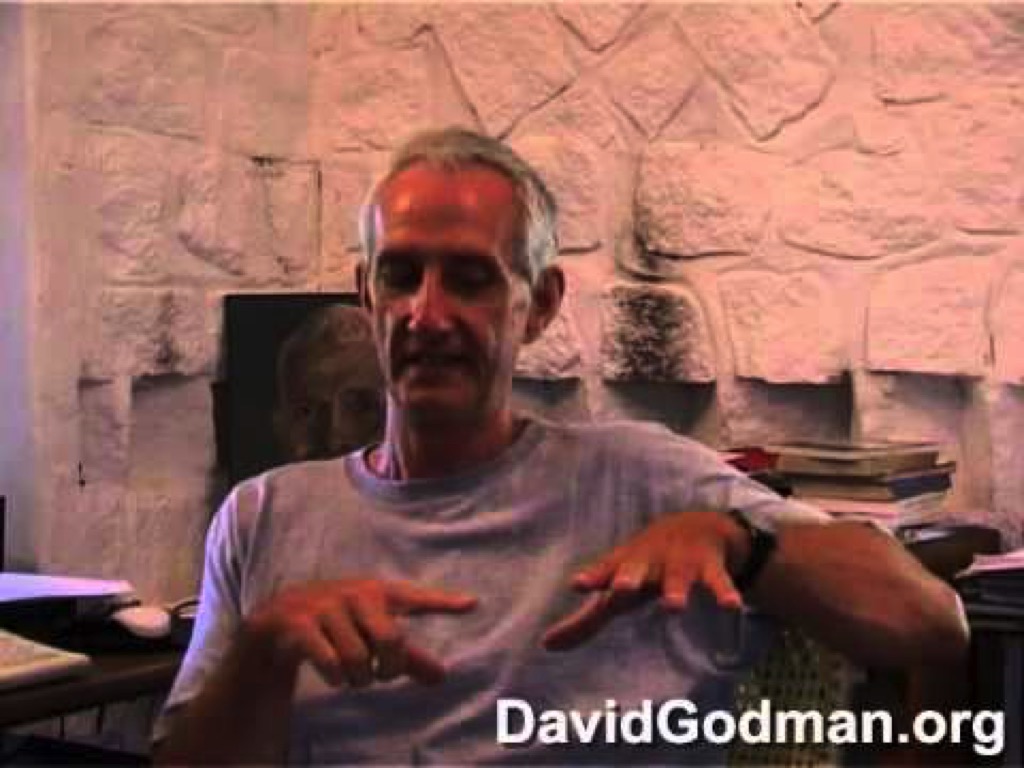 David Godman