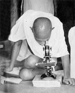 Gandhi studying leprosy germs at Sevagram Ashram. 1939.